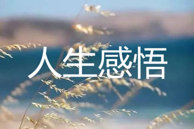 手抄报 vs 电子菜单：谁才是2026年校园“贪吃鬼”的引路人？