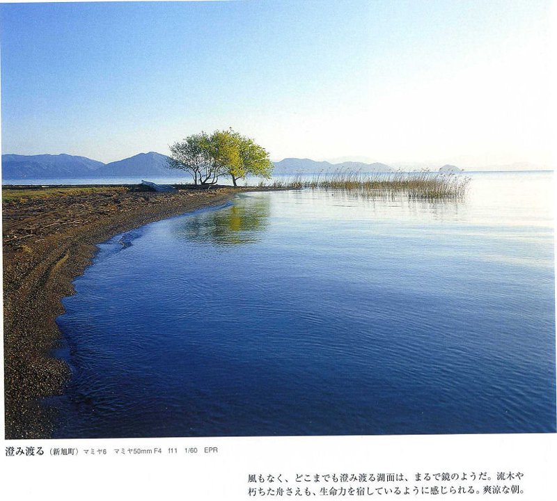2026年个人博客模板：一位十年站长的未来视角